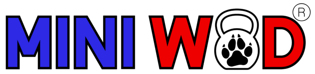 mini (13) clipped rev 2