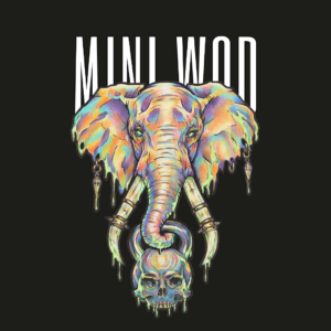 teeshirt adulte oversize eléphant miniwod h/f